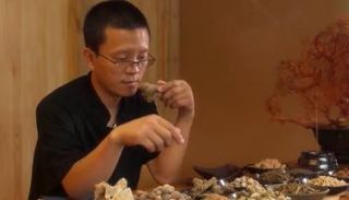 قوه جيان مي