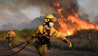 موجة الحر الأوروبية تسببت في حرائق الغابات 