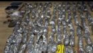 في ضربة دولية مشتركة.. ضبط مخدرات بـ750 مليون دولار واعتقال 597 مشتبها حول العالم