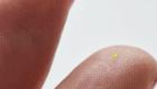 حقيبة في حجم "حصوة غبار" بعشرات آلاف الدولارات