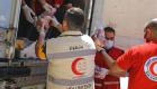 500 ألف مستفيد من أضاحي الهلال الأحمر الإماراتي في 48 دولة