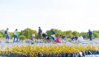 جانب من المبادرة الإماراتية