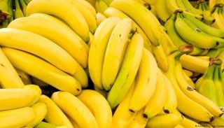 موز - أرشيفية