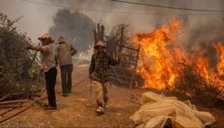 حرائق الغابات في شمال إفريقيا أحد التأثيرات المتوقعة لظاهرة النينو 