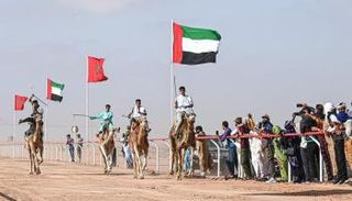 جانب من فعاليات موسم طانطان