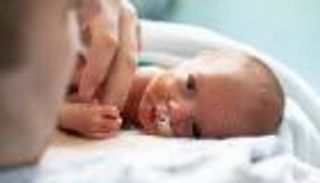 دراسة تحدد سلالات بكتيريا الأمعاء الخطرة وتمنح أملا للأطفال المبتسرين