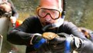 "أكل لحوم الأبناء".. كشف لغز سلوك غريب لآباء السلمندر