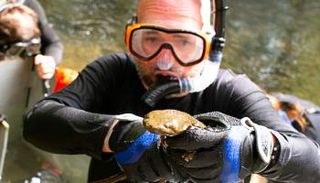 بيل هوبكنز من جامعة فرجينيا للتكنولوجيا أثناء إجراء الدراسة