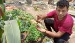 سلاح "الدود" على خط المواجهة مع أزمة المناخ.. قصة حقيقية