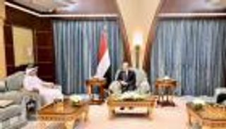 "ريادي فاعل".. العليمي يشيد بدور الإمارات وتدخلاتها الإنسانية باليمن