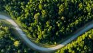 المدن الحضرية.. تجربة رائدة في حماية التنوع البيولوجي