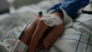 حمى الضنك في مصر.. مرض غريب يرعب الآلاف