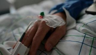 حمى الضنك مرض ينتشر عن طريق لدغة البعوض