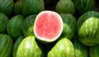 تاجر يحدد 3 علامات لانتقاء ثمرة بطيخ طازجة (فيديو)