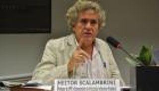 خبير برازيلي: لا توجد خطة انتقال موحدة للطاقة تناسب جميع دول العالم 