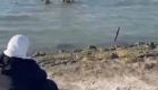 3 أطفال يغرقون أمام أعين والدتهم.. فيديو موجع