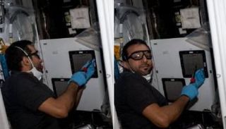 سلطان النيادي