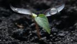 أنماط زراعة مستقبلية لمواجهة التغير المناخي.. حتمية حماية الغذاء