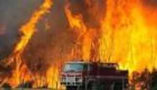 متحدث "الحماية المدنية التونسية" لـ"العين الإخبارية": حرائق الغابات "بفعل فاعل"