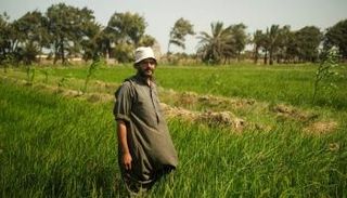 درجات الحرارة في بعض محافظات الصعيد تصل إلى 45 درجة مئوية