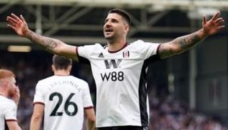 ألكسندر ميتروفيتش