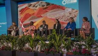 قمة الأمم المتحدة للنظم الغذائية +2 (لحظة التقييم)