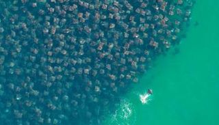 التغير المناخي