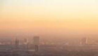 كيف يؤثر الضباب الدخاني على الكائنات الحية؟