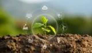 صناعة إزالة الكربون العالمية.. نيوزيلندا نموذجًا