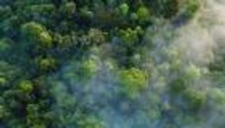 من أجل كوكبنا.. 5 قصص مناخية "ملهمة" 