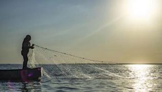 صيادو الفرات في شمال سوريا يعانون تراجع الثروة السمكية