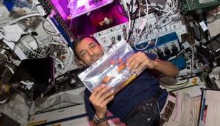 رائد الفضاء الإماراتي سلطان النيادي