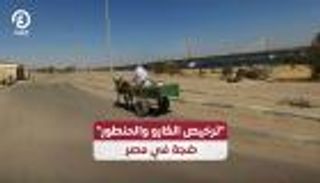 ترخيص الكارو والحنطور يثير ضجة في مصر (فيديو)