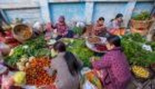 المناخ وتصنيع الغذاء.. اختفاء 200 مليون وظيفة