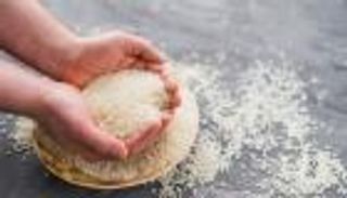 الأرز في خطر.. أصابع المناخ تعبث بأشهر أطباق العالم