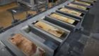 البنوك المركزية.. "الحصان الأسود" في سوق الذهب العالمي