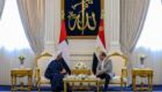 ضمان للسلام.. الإمارات ومصر تؤكدان أهمية تفعيل العمل العربي المشترك