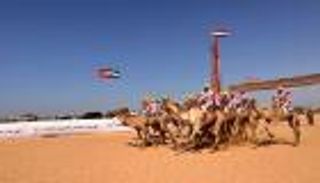 بدعم إماراتي.. انطلاق مهرجان العلمين الثالث لسباق الهجن في مصر