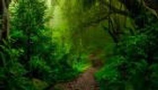 بحثا عن "البدائية".. مصرع 3 أشخاص نتيجة "العزلة عن مواقع التواصل"