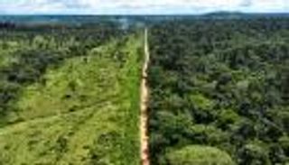 سر أنهار الأمازون الطائرة.. كيف تتحكم في غذاء العالم؟