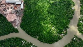 غابات الأمازون - أرشيفية