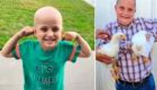 مقابل 12 ألف دولار.. طفل يبيع دجاجتيه لعلاج شقيقه من السرطان