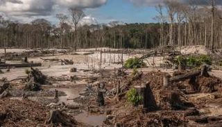 إزالة غابات الأمازون