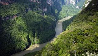 الاقتصاد الأخضر