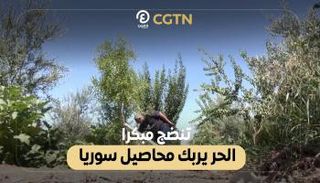 موجات الحر تربك محاصيل سوريا