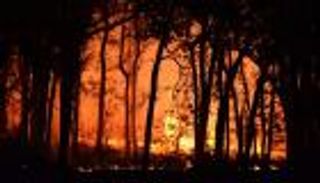 سؤال القرن.. كيف يتنبأ العلماء بحرائق الغابات؟