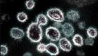 متحور كورونا الجديد.. أول تعليق من "الصحة" المصرية