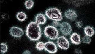 متحور كورونا الجديد أكثر قدرة على الانتشار