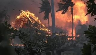 جانب من حرائق هاواي