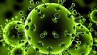 مستشار الرئيس المصري للصحة يكشف مصدر القلق من متحور كورونا EG5